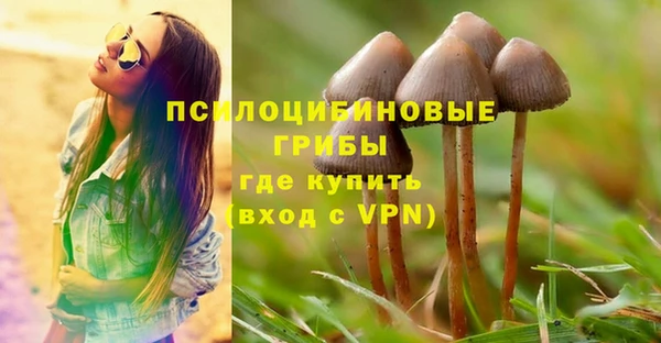 гидропоника Балабаново