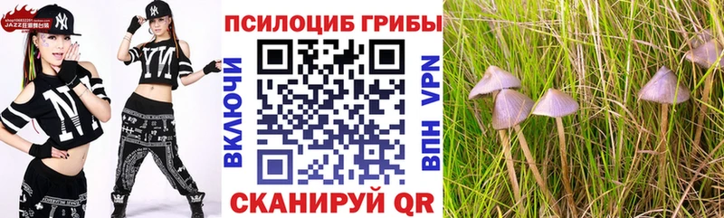 Псилоцибиновые грибы GOLDEN TEACHER  наркота  Мышкин 